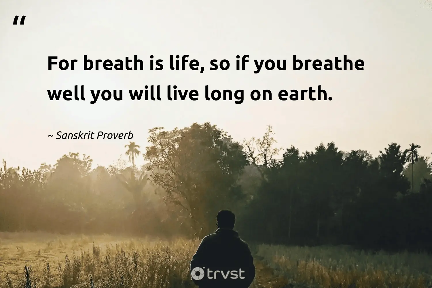"For breath is life, so if you breathe well you will live long on earth." -Sanskrit Proverb #trvst #quotes #dogood #bethechange #life #earth #breathe 