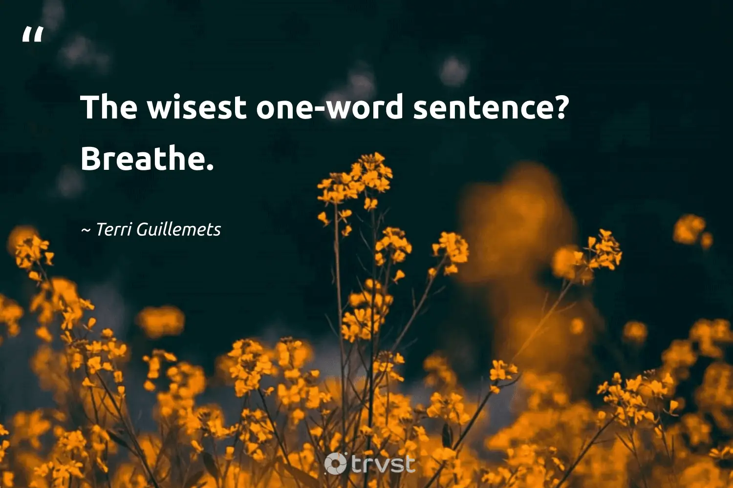 "The wisest one-word sentence? Breathe." -Terri Guillemets #trvst #quotes #gogreen #bethechange 