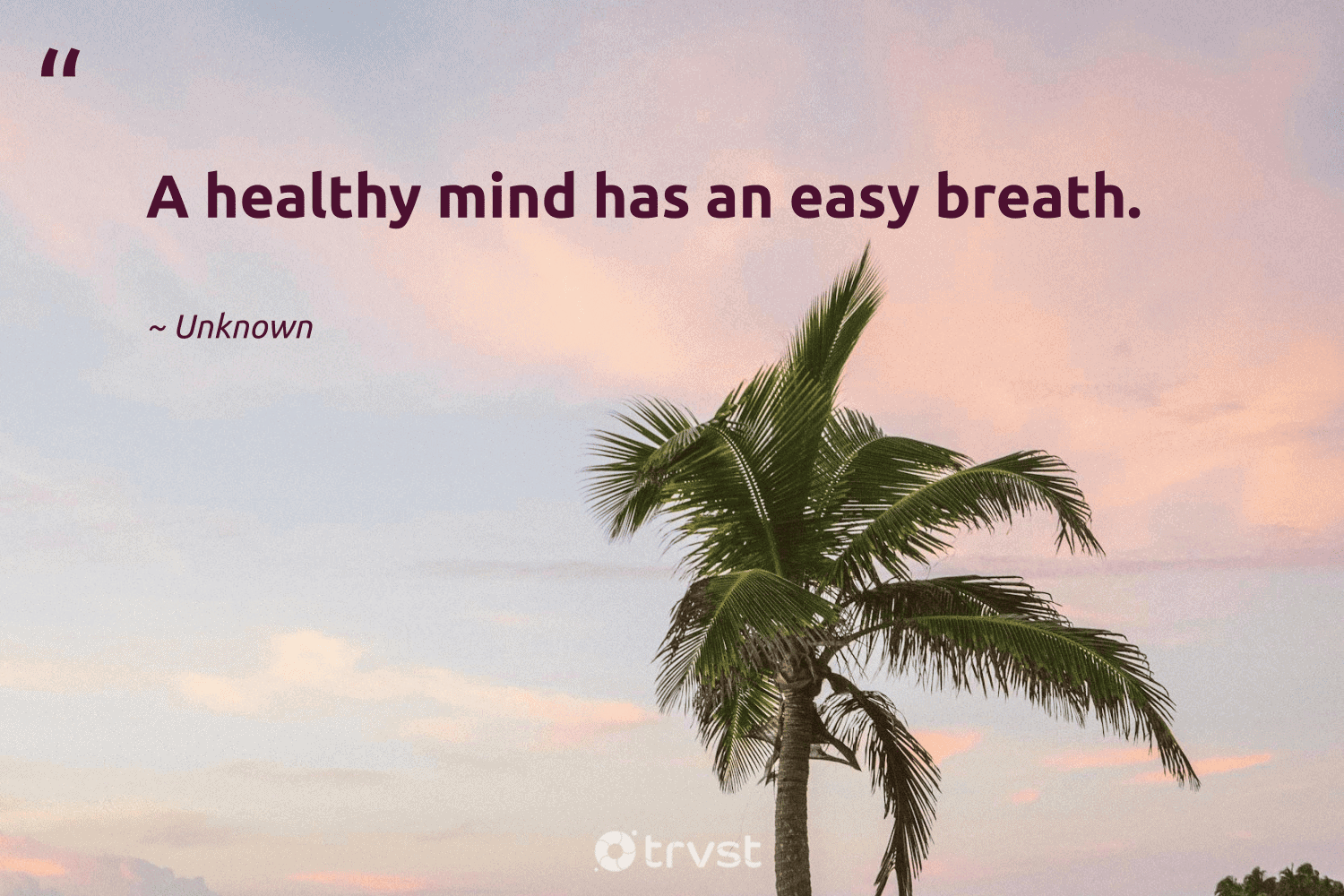 "A healthy mind has an easy breath." -Unknown #trvst #quotes #ecoconscious #gogreen 