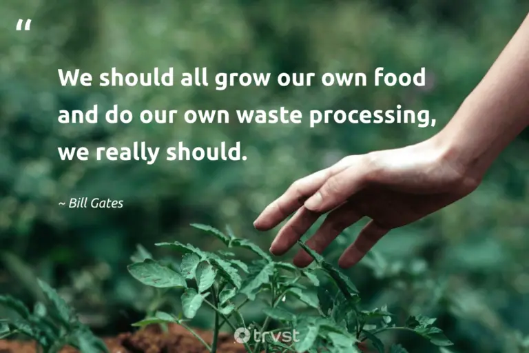 "We should all grow our own food and do our own waste processing, we really should." -Bill Gates #trvst #quotes #impact #collectiveaction #FoodWaste #food 