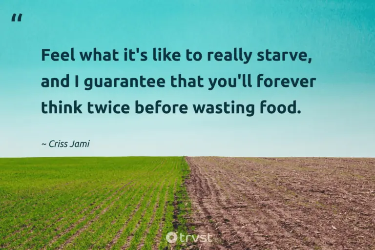 "Feel what it's like to really starve, and I guarantee that you'll forever think twice before wasting food." -Criss Jami #trvst #quotes #ecoconscious #bethechange #FoodWaste #food 