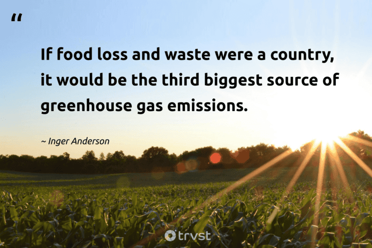 "If food loss and waste were a country, it would be the third biggest source of greenhouse gas emissions." -Inger Anderson #trvst #quotes #planetearthfirst #socialimpact #FoodWaste #food 