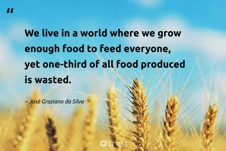 "We live in a world where we grow enough food to feed everyone, yet one-third of all food produced is wasted." -José Graziano da Silva #trvst #quotes #gogreen #impact #FoodWaste #food #world 