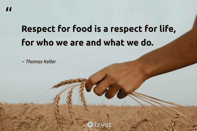 "Respect for food is a respect for life, for who we are and what we do." -Thomas Keller #trvst #quotes #impact #gogreen #FoodWaste #life #food 