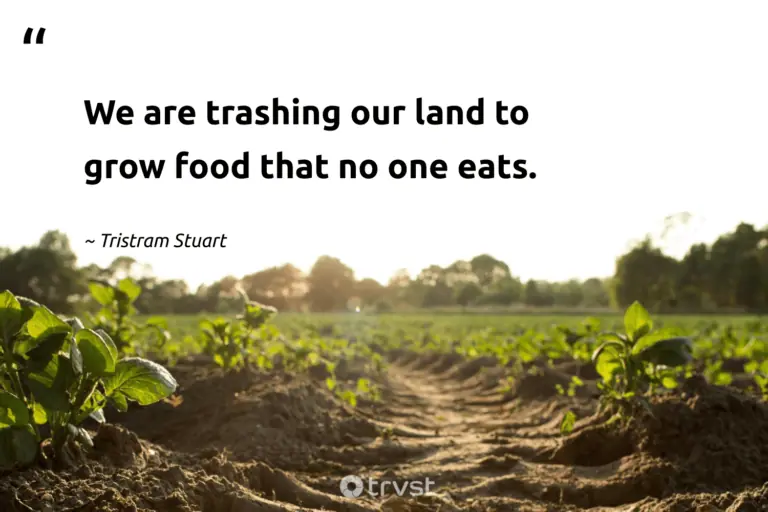 "We are trashing our land to grow food that no one eats." -Tristram Stuart #trvst #quotes #bethechange #gogreen #FoodWaste #food 