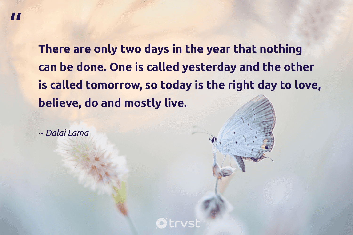 "There are only two days in the year that nothing can be done. One is called yesterday and the other is called tomorrow, so today is the right day to love, believe, do and mostly live." -Dalai Lama #trvst #quotes #impact #bethechange #mindfulness #love 