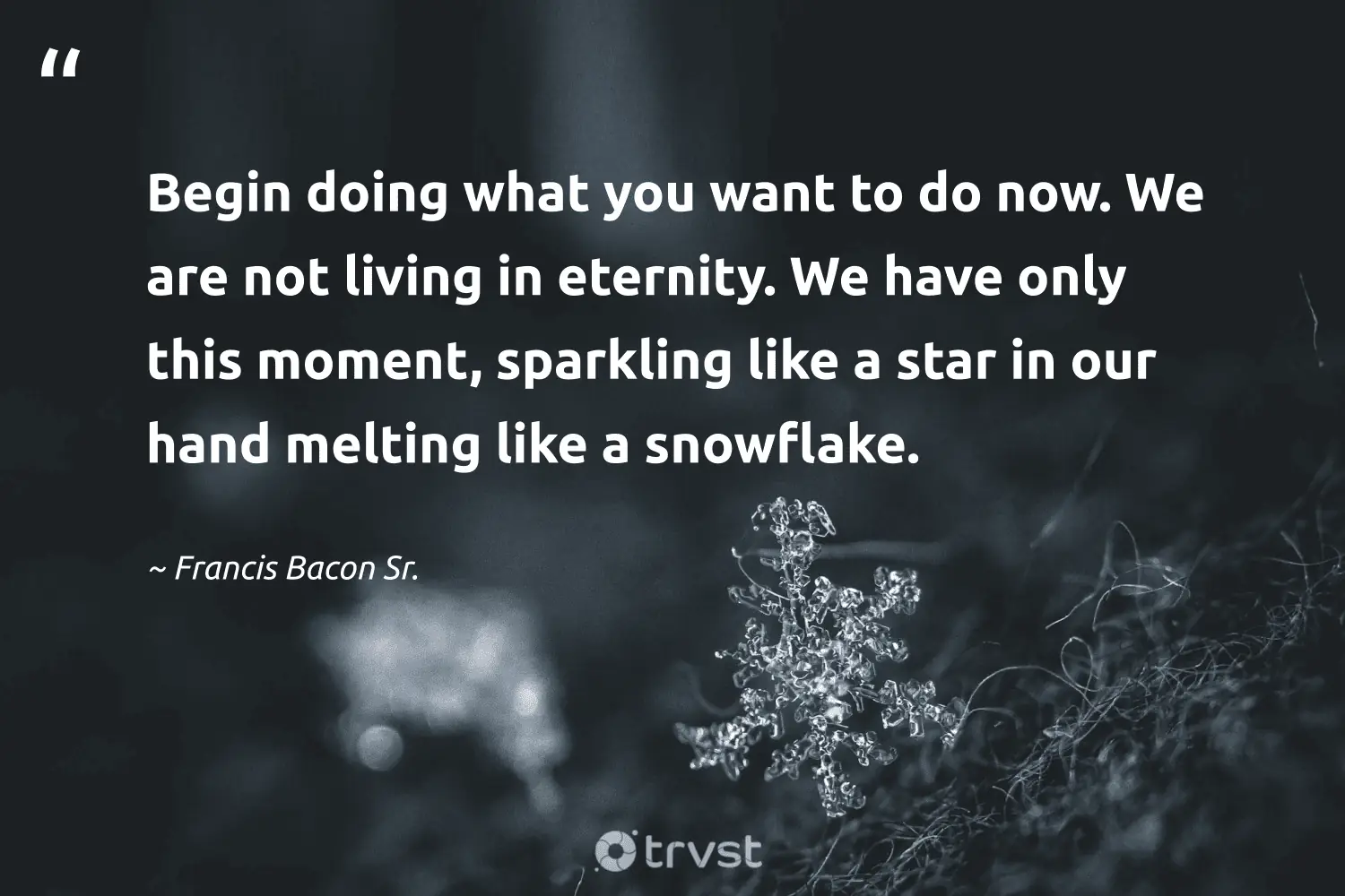 "Begin doing what you want to do now. We are not living in eternity. We have only this moment, sparkling like a star in our hand melting like a snowflake." -Francis Bacon Sr. #trvst #quotes #thinkgreen #impact #mindfulness 