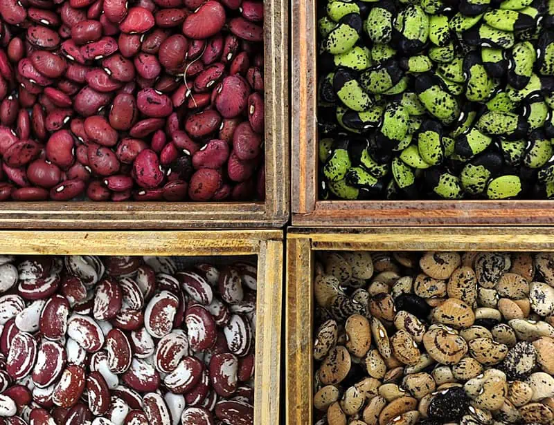 seed bank for genetic diversity