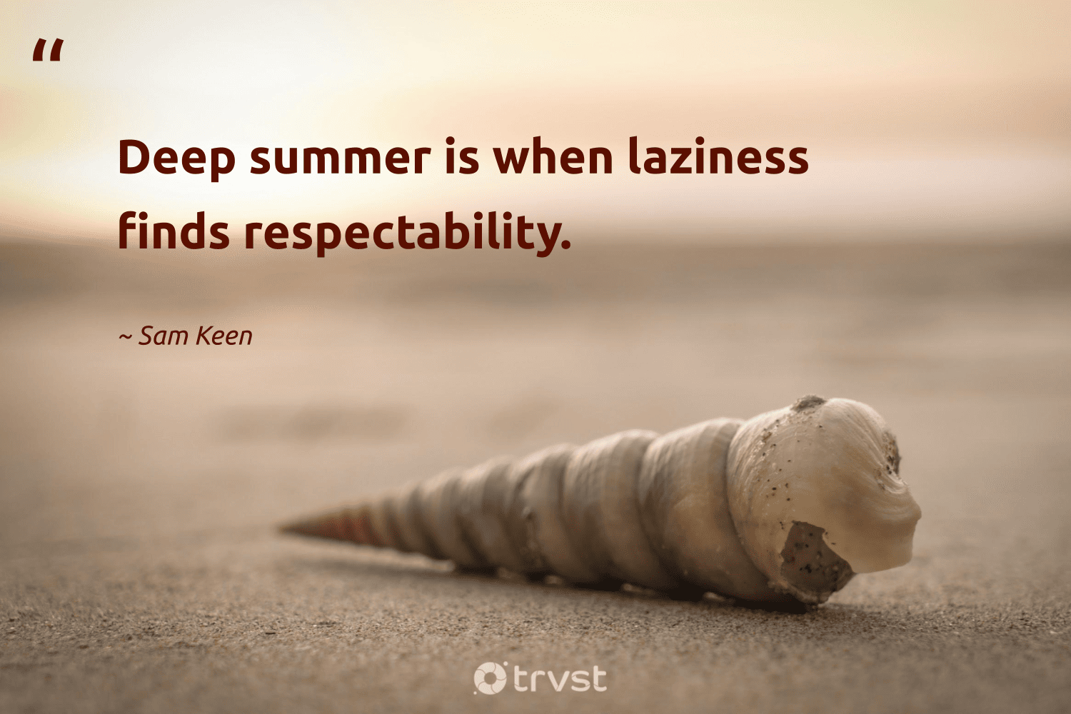 "Deep summer is when laziness finds respectability." -Sam Keen #trvst #quotes #changetheworld #dogood #summer 