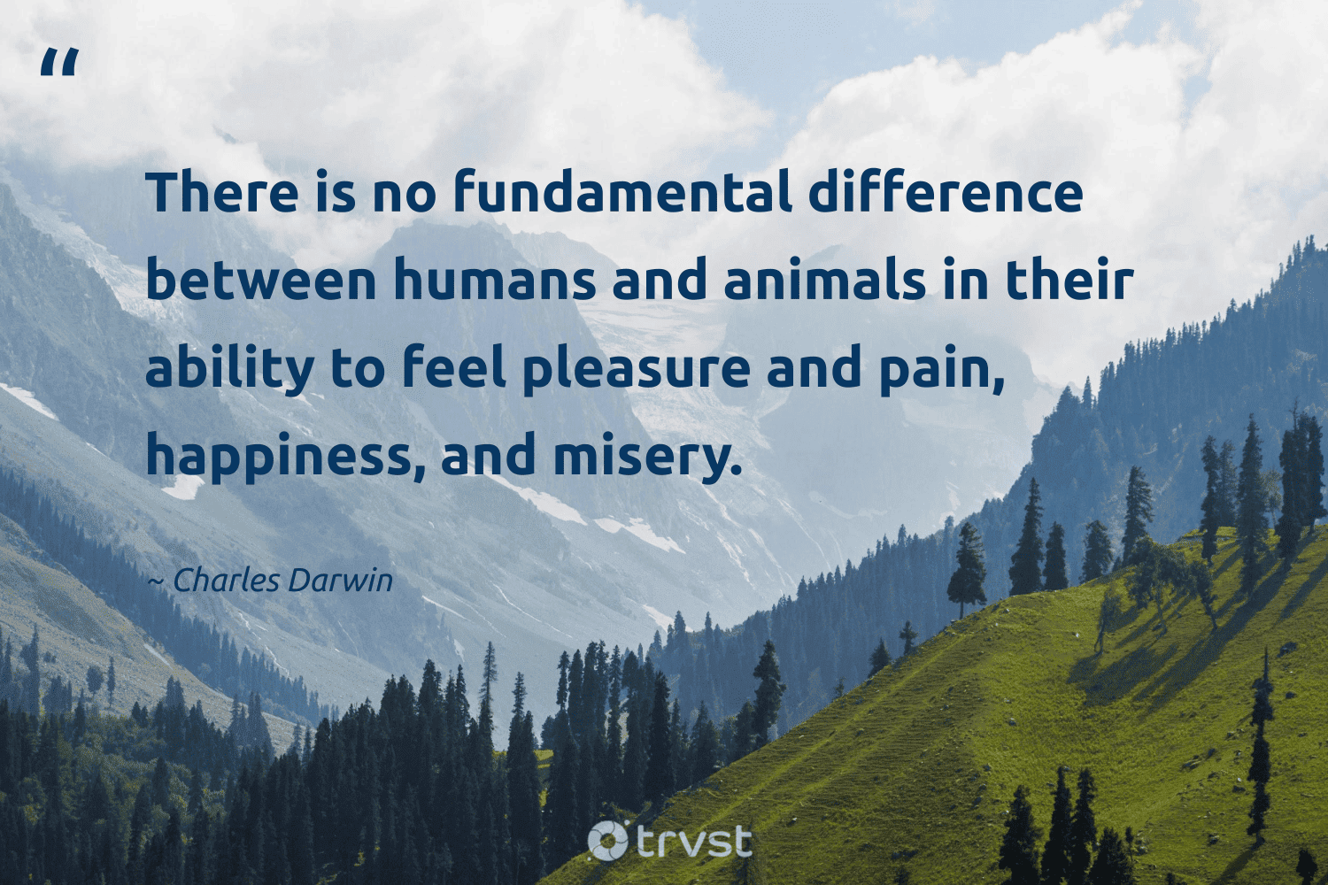 "There is no fundamental difference between humans and animals in their ability to feel pleasure and pain, happiness, and misery." -Charles Darwin #trvst #quotes #bethechange #thinkgreen #vegan #happiness 
