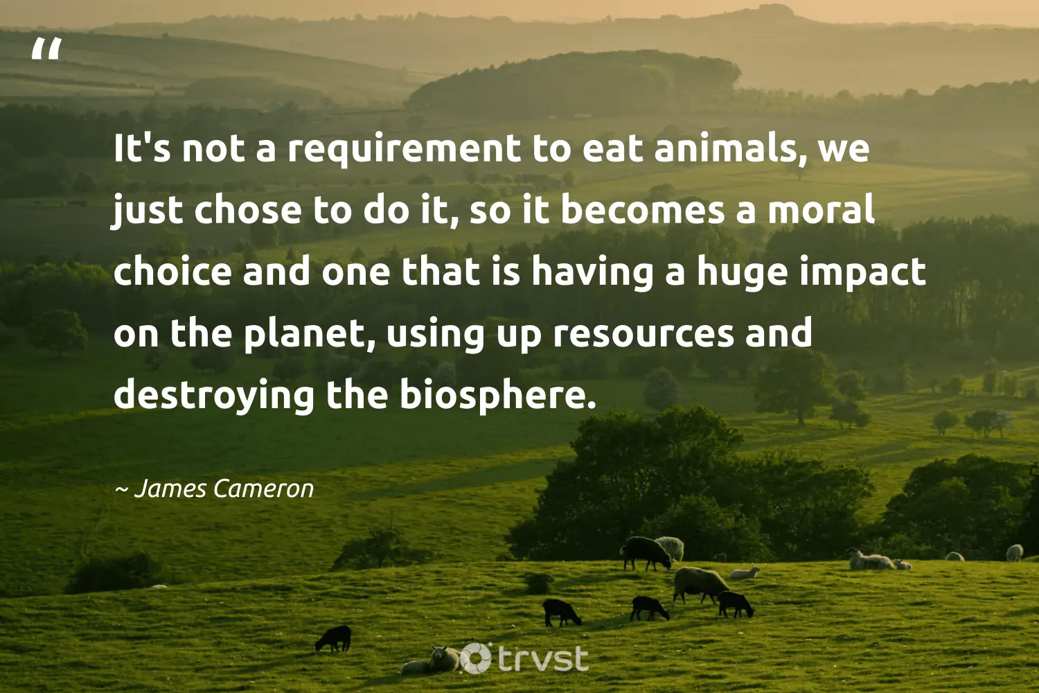 "It's not a requirement to eat animals, we just chose to do it, so it becomes a moral choice and one that is having a huge impact on the planet, using up resources and destroying the biosphere." -James Cameron #trvst #quotes #socialimpact #takeaction #vegan #planet 