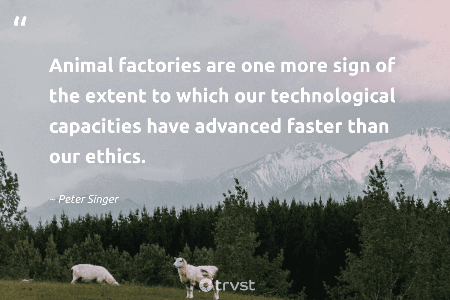 "Animal factories are one more sign of the extent to which our technological capacities have advanced faster than our ethics." -Peter Singer #trvst #quotes #planetearthfirst #changetheworld #vegan 