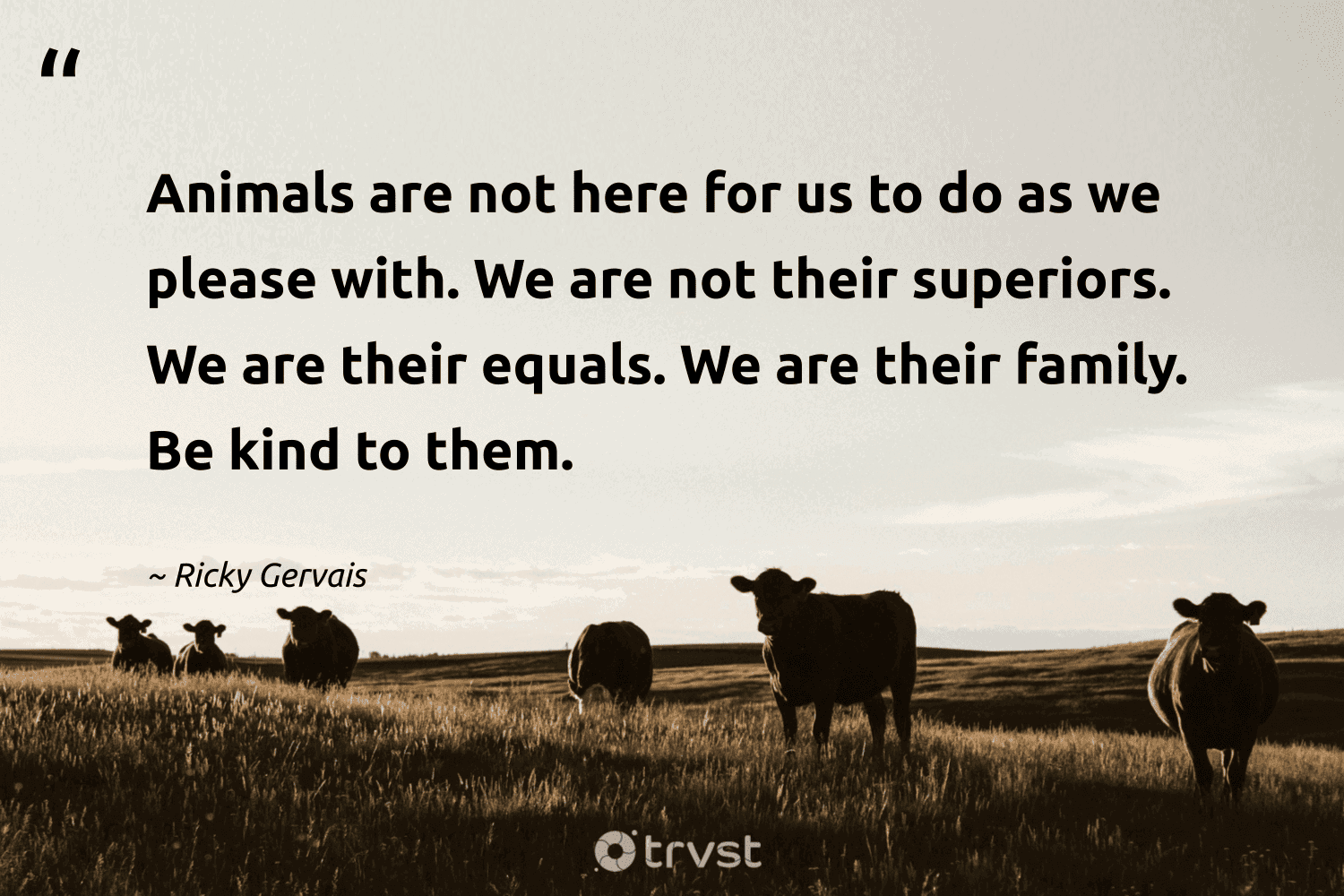 "Animals are not here for us to do as we please with. We are not their superiors. We are their equals. We are their family. Be kind to them." -Ricky Gervais #trvst #quotes #bethechange #socialimpact #vegan 
