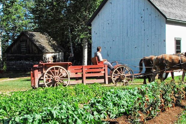 What is Homesteading? Benefits, Types, and More