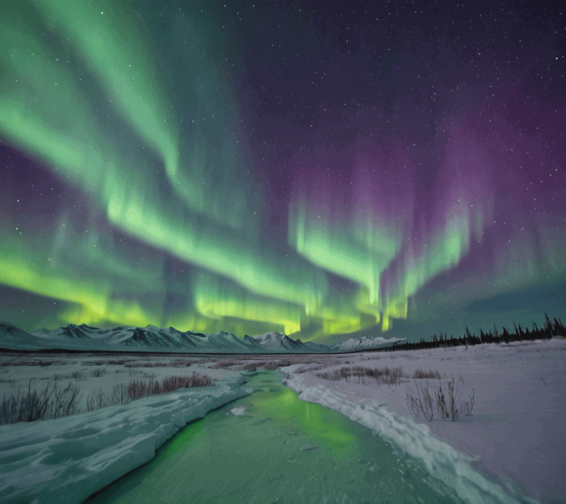 Aurora Borealis over snowy tundra for positive N starting nouns.