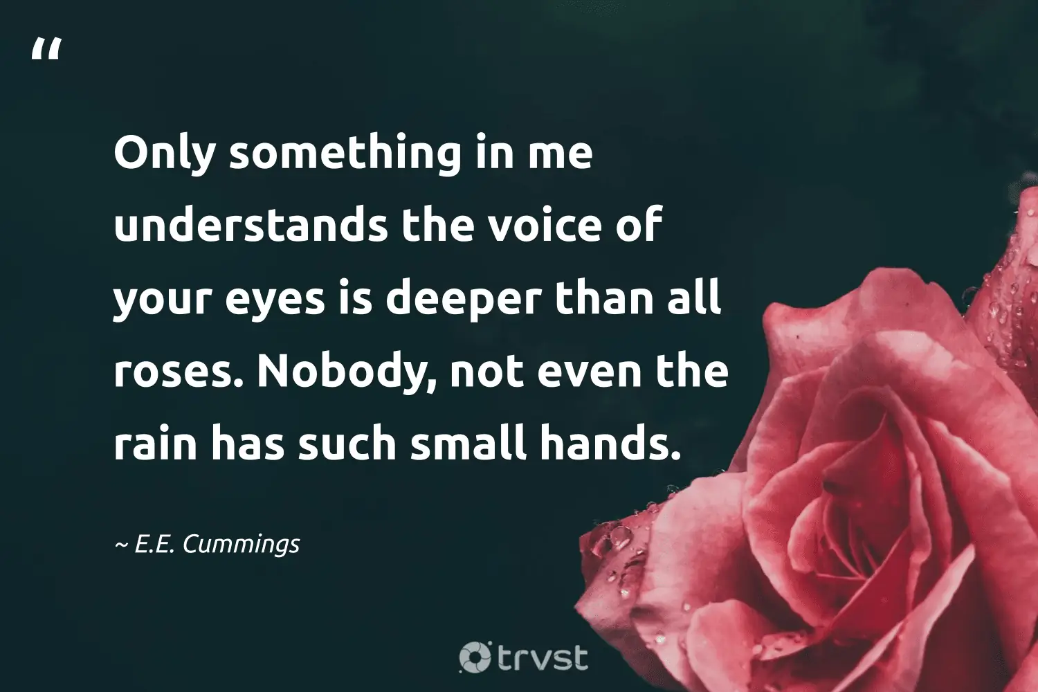 "Only something in me understands the voice of your eyes is deeper than all roses. Nobody, not even the rain has such small hands." -E.E. Cummings #trvst #quotes #socialchange #planetearthfirst #pluviophile #deeper #Rain #roses #Weather 