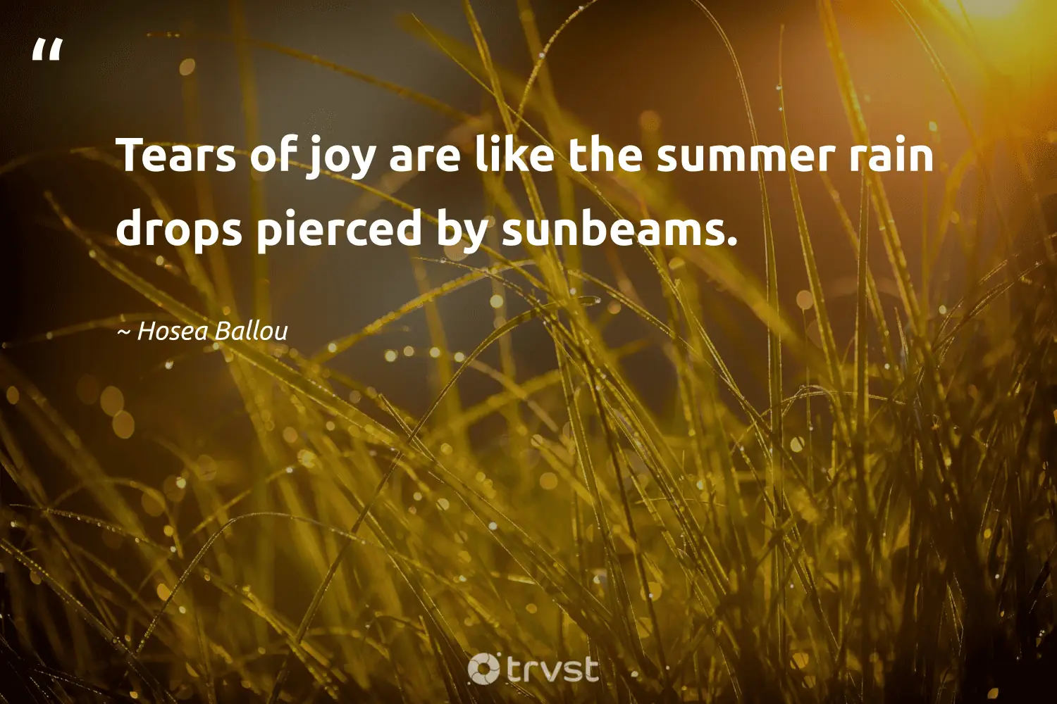 "Tears of joy are like the summer rain drops pierced by sunbeams." -Hosea Ballou #trvst #quotes #changetheworld #beinspired #rainyday #summer #Walk #cloudy #Dance 