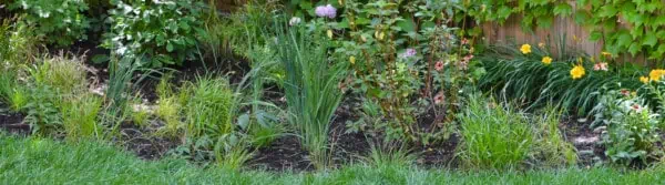what are rain gardens