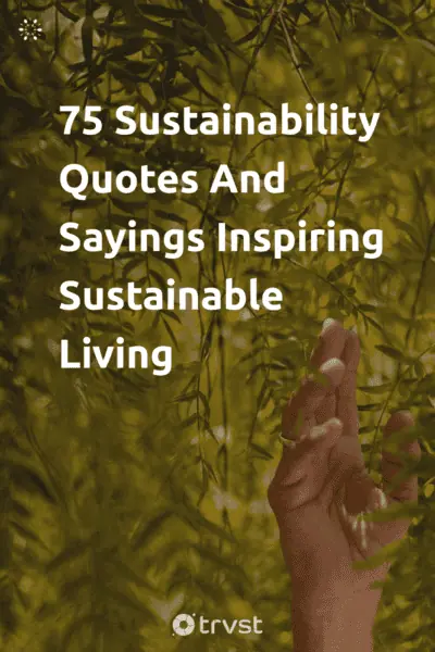 Pin Image Portrait 75 Sustainability Quotes And Sayings Inspiring Sustainable Living