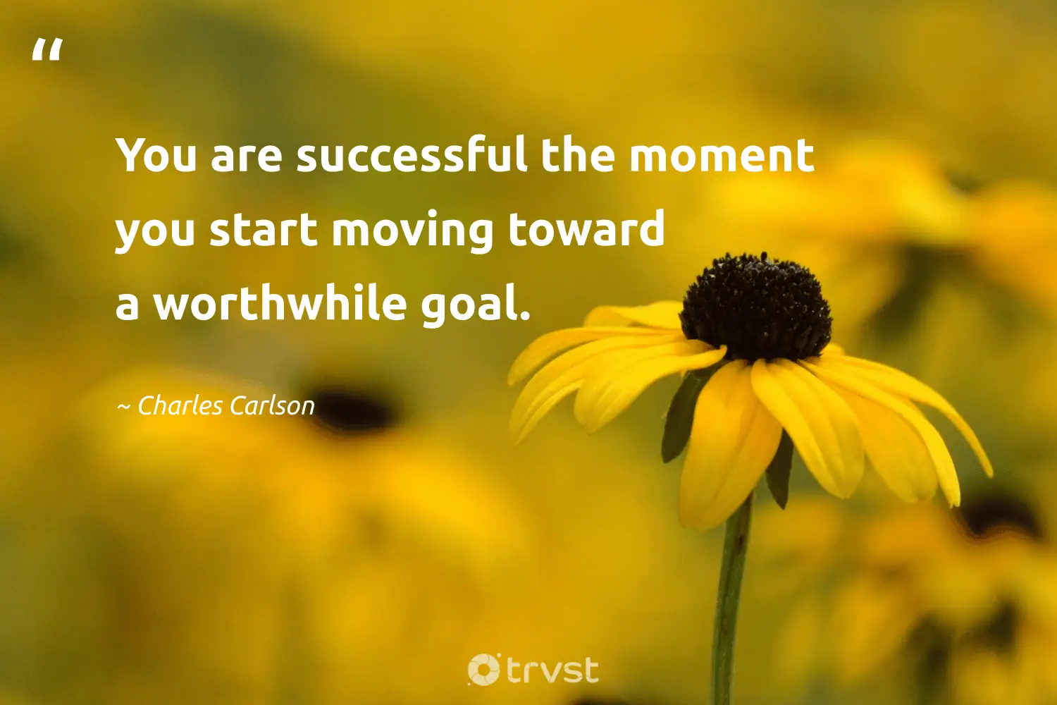 "You are successful the moment you start moving toward a worthwhile goal." -Charles Carlson #trvst #quotes #planetearthfirst #gogreen #determination #worthwhile 