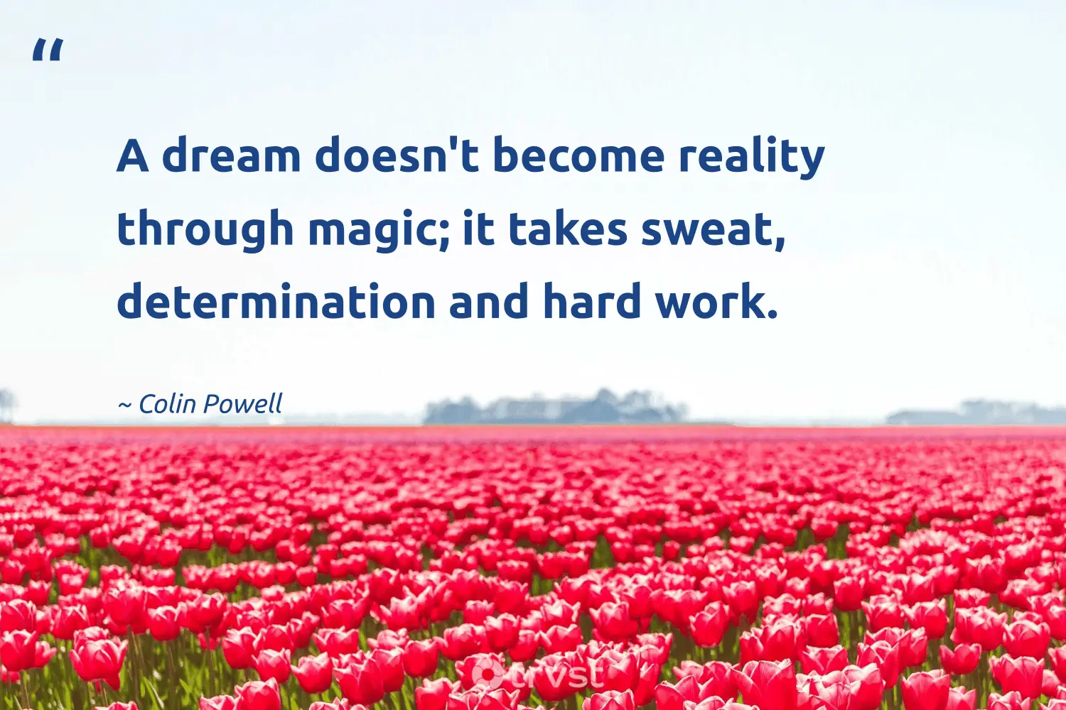 "A dream doesn't become reality through magic; it takes sweat, determination and hard work." -Colin Powell #trvst #quotes #gogreen #beinspired #determination #magic 