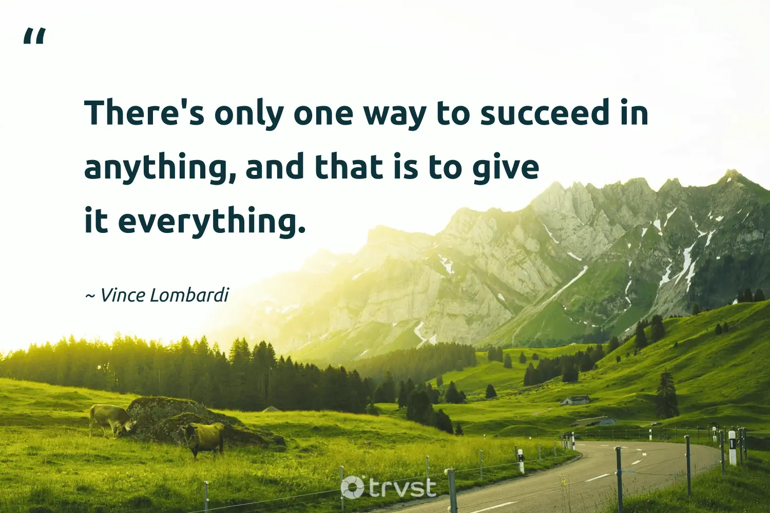 "There's only one way to succeed in anything, and that is to give it everything." -Vince Lombardi #trvst #quotes #collectiveaction #bethechange #determination 