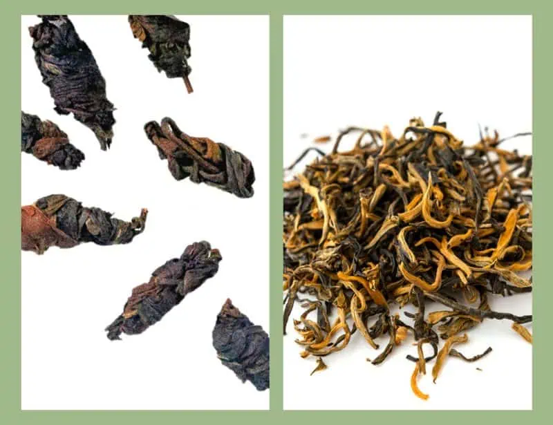 Outwoken Tea.