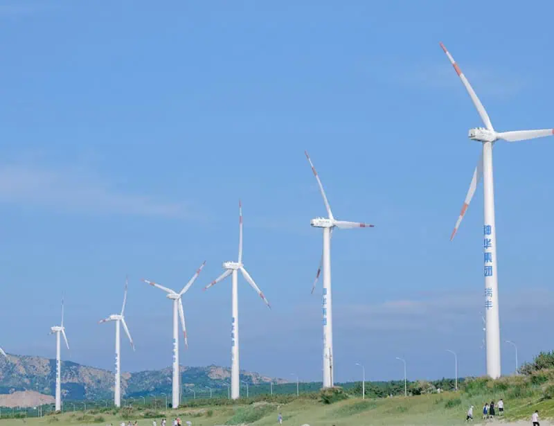 row of wind turbines