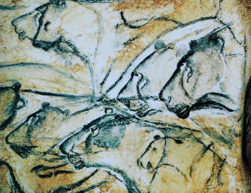 chauvet cave lion paintings