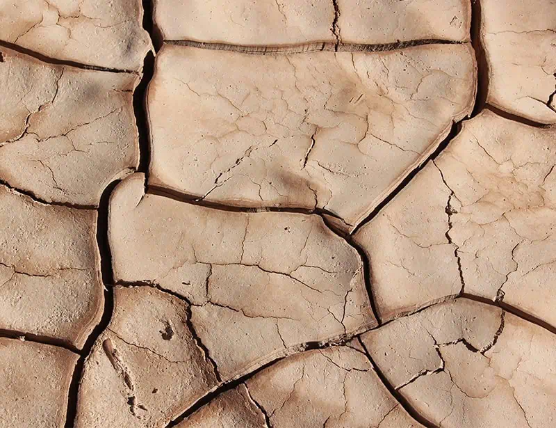 dry cracked land