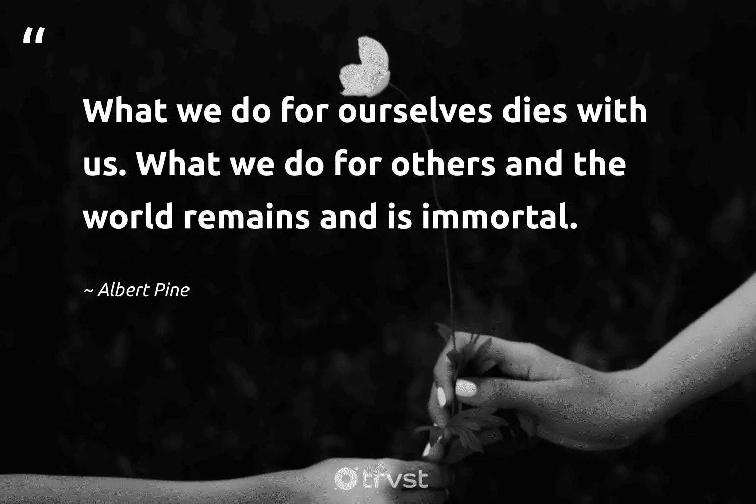"What we do for ourselves dies with us. What we do for others and the world remains and is immortal." -Albert Pine #trvst #quotes #gogreen #beinspired #philanthropy #world