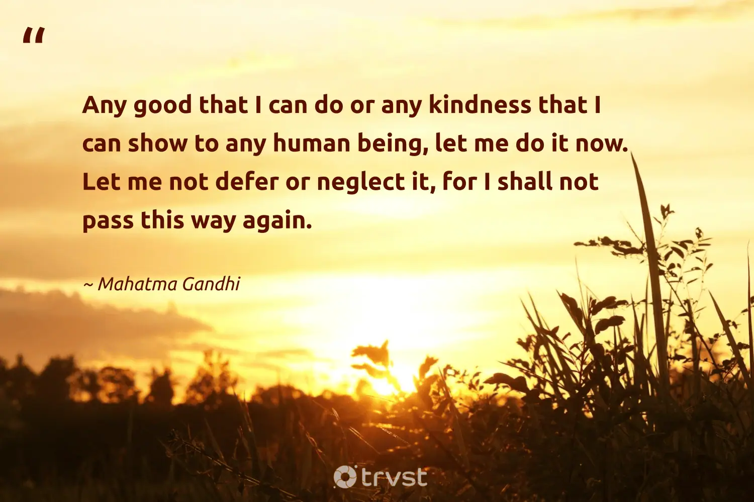 "Any good that I can do or any kindness that I can show to any human being, let me do it now. Let me not defer or neglect it, for I shall not pass this way again." -Mahatma Gandhi #trvst #quotes #socialimpact #impact #philanthropy #human