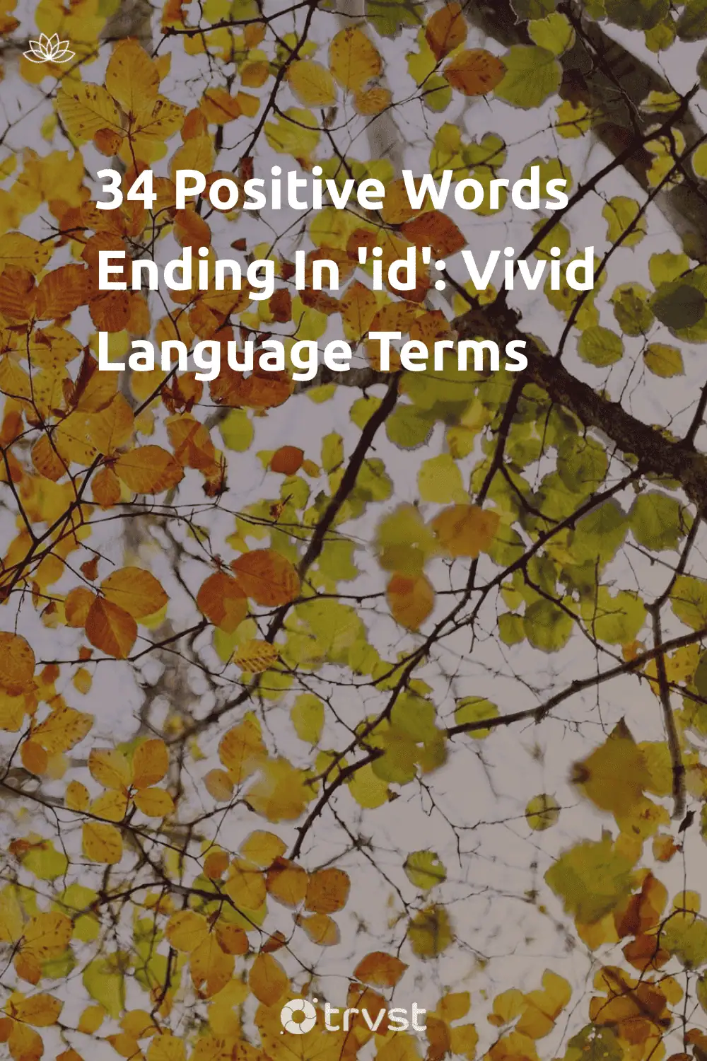 Pinterest Image for 34 Positive Words Ending In 'id': Vivid Language Terms