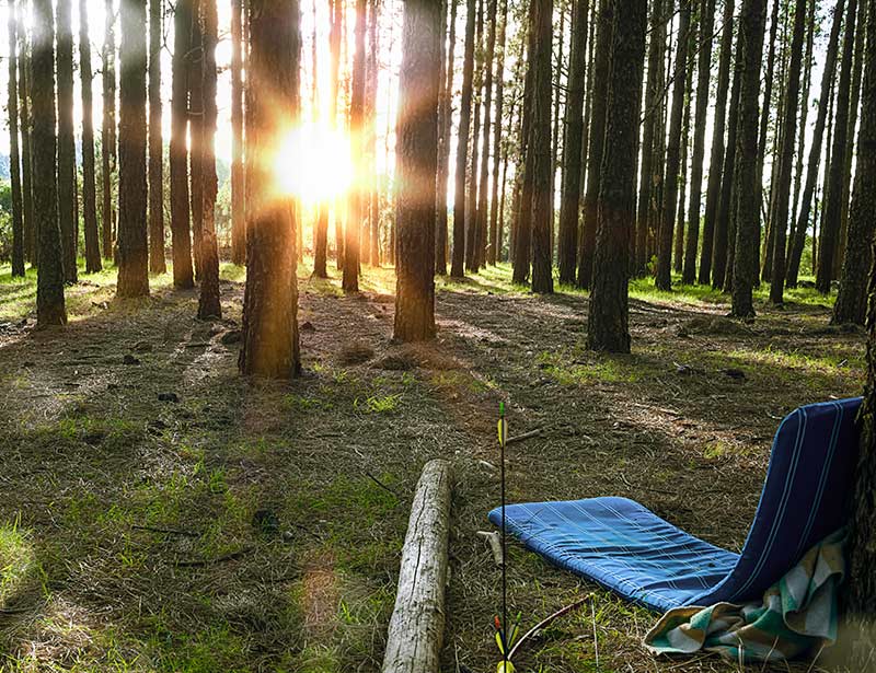 mat by the tree perfect for a quiet moment