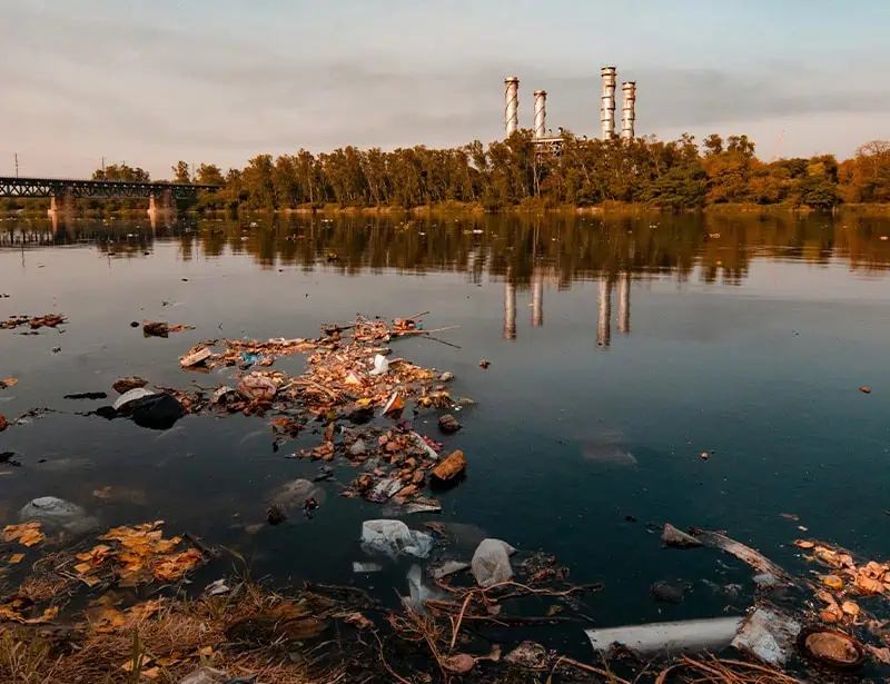 polluted body of water