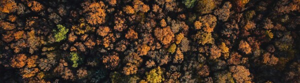 season synonyms and definition