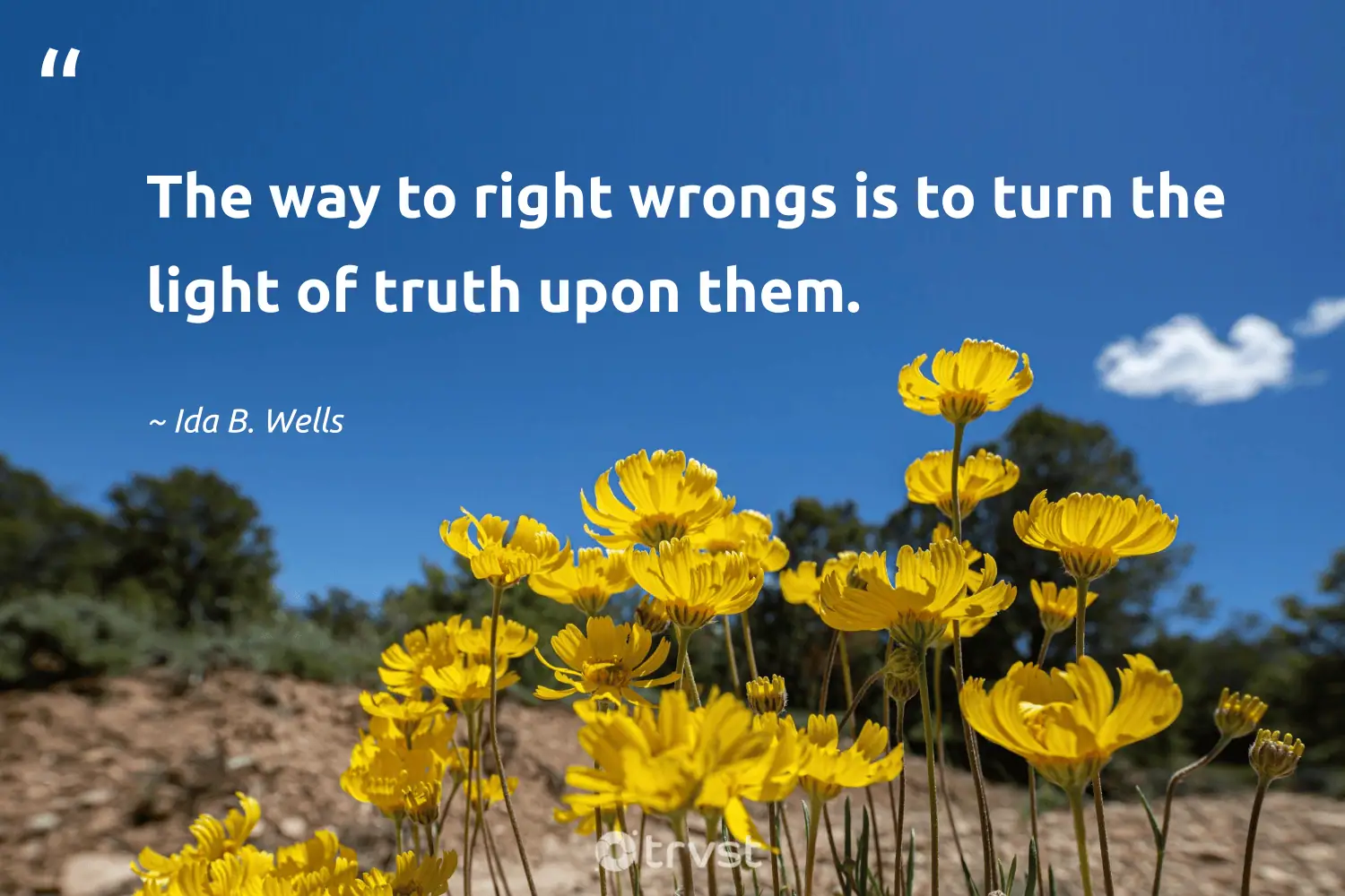 "The way to right wrongs is to turn the light of truth upon them." -Ida B. Wells #trvst #quotes #socialimpact #collectiveaction #CivilRights #light #truth