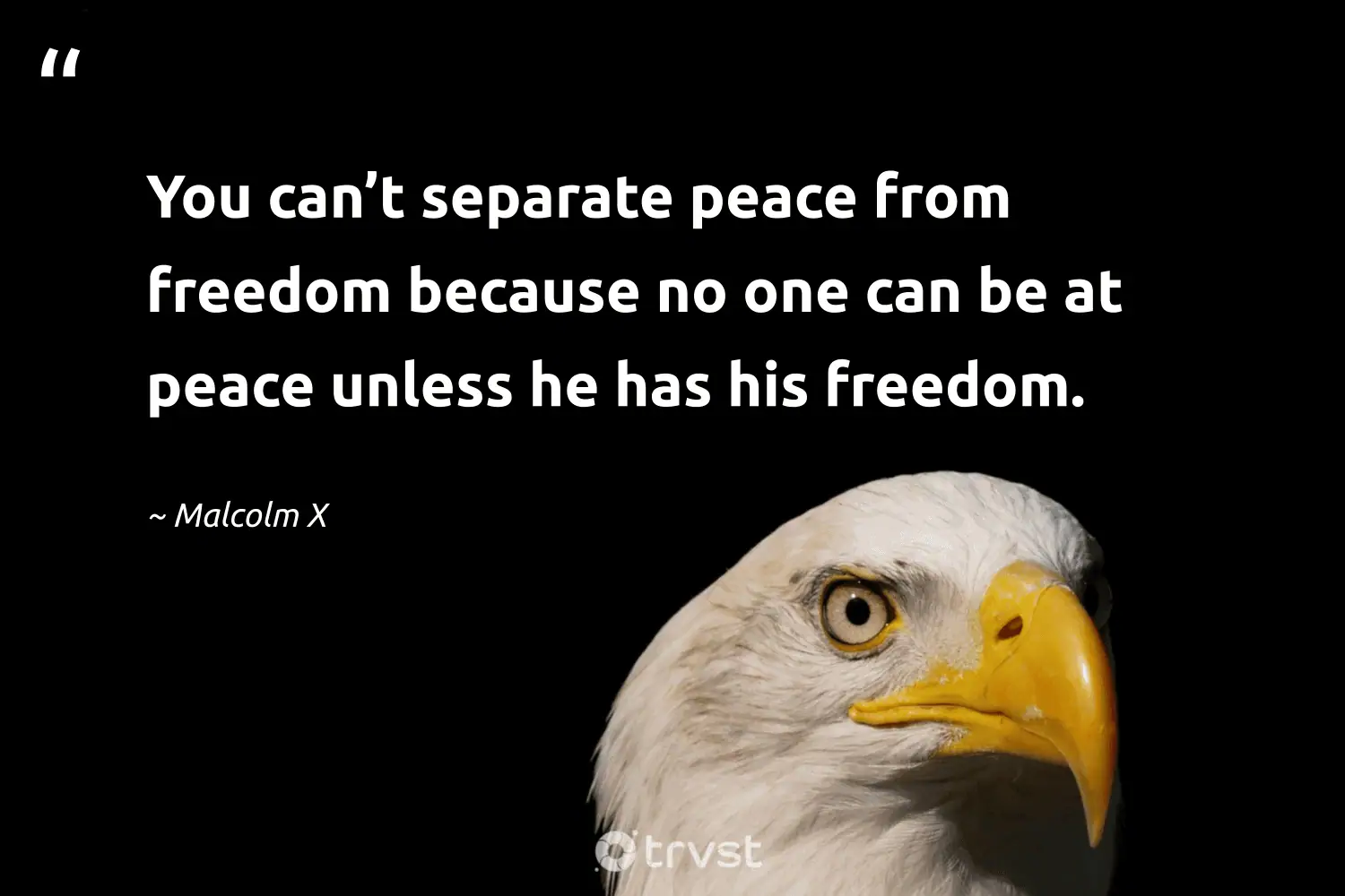 "You can’t separate peace from freedom because no one can be at peace unless he has his freedom." -Malcolm X #trvst #quotes #collectiveaction #bethechange #CivilRights #freedom #peace