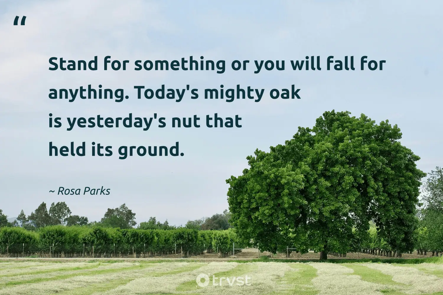 "Stand for something or you will fall for anything. Today's mighty oak is yesterday's nut that held its ground." -Rosa Parks #trvst #quotes #gogreen #ecoconscious #CivilRights