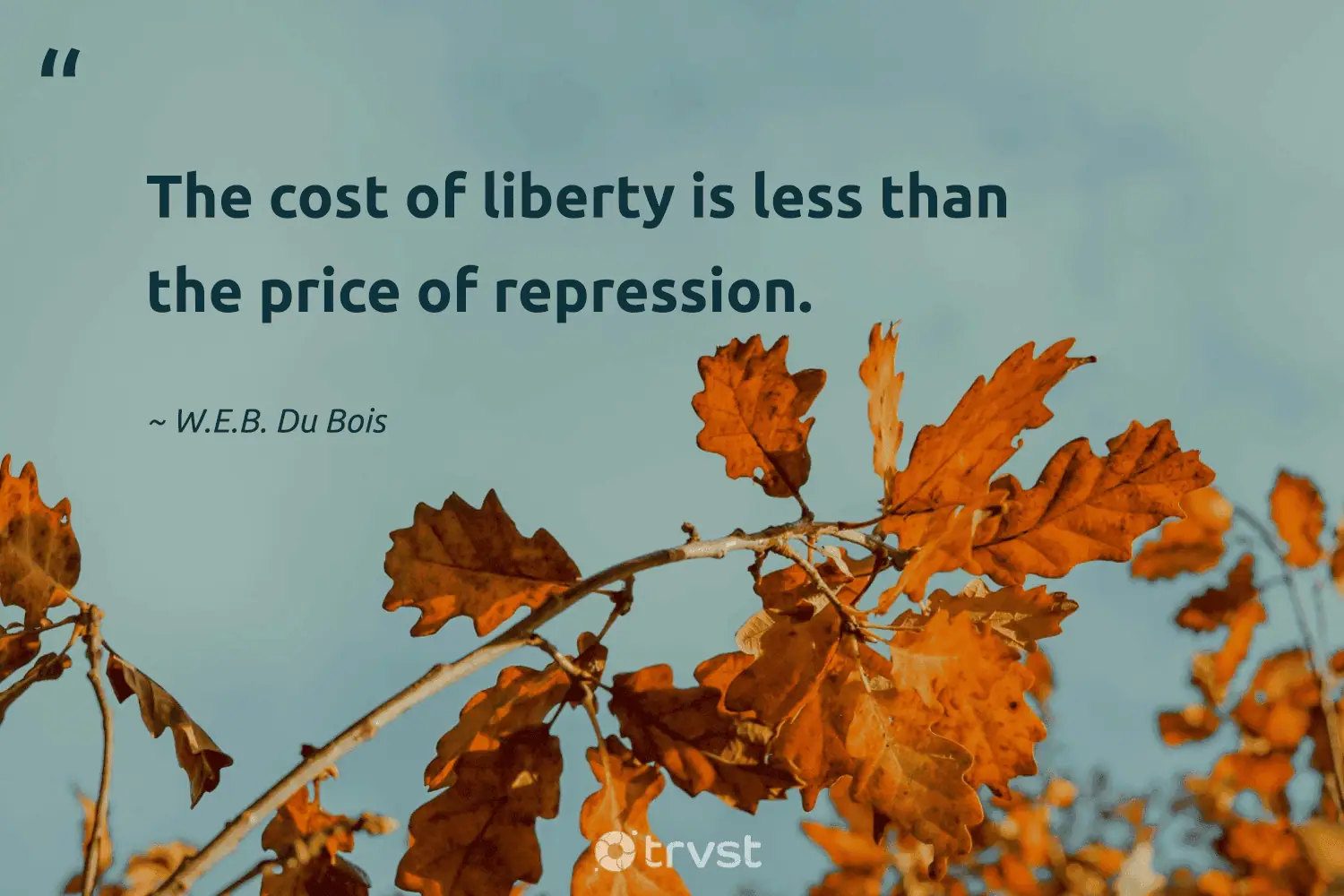 "The cost of liberty is less than the price of repression." -W.E.B. Du Bois #trvst #quotes #beinspired #bethechange #CivilRights