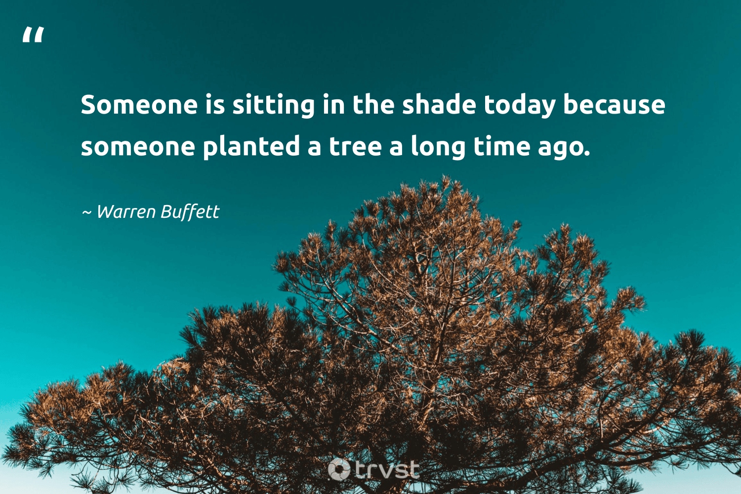 "Someone is sitting in the shade today because someone planted a tree a long time ago." -Warren Buffett #trvst #quotes #changetheworld #thinkgreen #legacy #tree