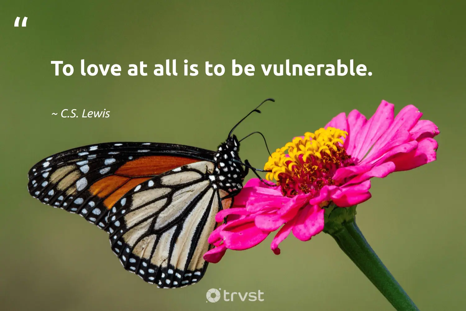 "To love at all is to be vulnerable." -C.S. Lewis #trvst #quotes #gogreen #dogood #vulnerability #love 