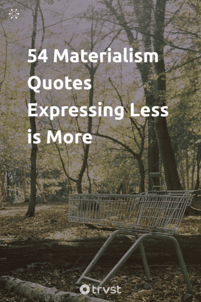 Pin Image Portrait 54 Materialism Quotes Expressing Less is More