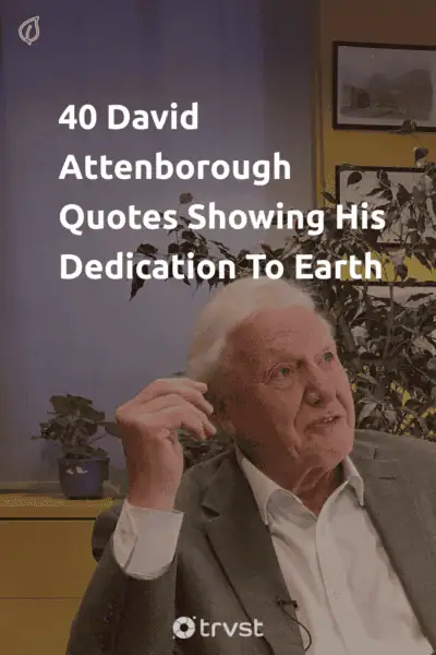 Pin Image Portrait 40 David Attenborough Quotes Showing His Dedication To Earth