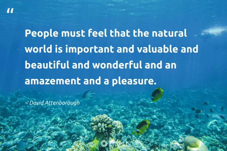 "People must feel that the natural world is important and valuable and beautiful and wonderful and an amazement and a pleasure." -David Attenborough #trvst #quotes #impact #socialchange #DavidAttenborough #natural #world 