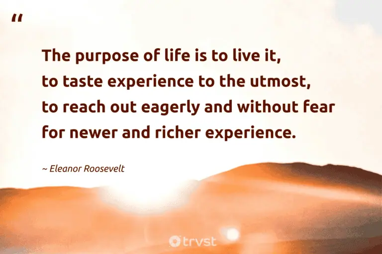 "The purpose of life is to live it, to taste experience to the utmost, to reach out eagerly and without fear for newer and richer experience." -Eleanor Roosevelt #trvst #quotes #takeaction #thinkgreen #HavingFun #life #JustHavingFun