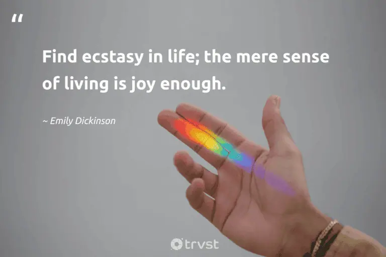 "Find ecstasy in life; the mere sense of living is joy enough." -Emily Dickinson #trvst #quotes #beinspired #ecoconscious #HavingFun #life #JustHavingFun