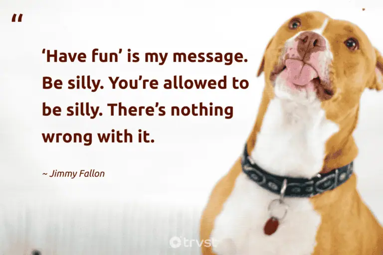 "‘Have fun’ is my message. Be silly. You’re allowed to be silly. There’s nothing wrong with it." -Jimmy Fallon #trvst #quotes #impact #changetheworld #HavingFun #JustHavingFun