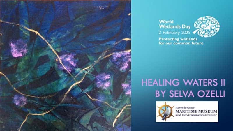Healing Waters Poster