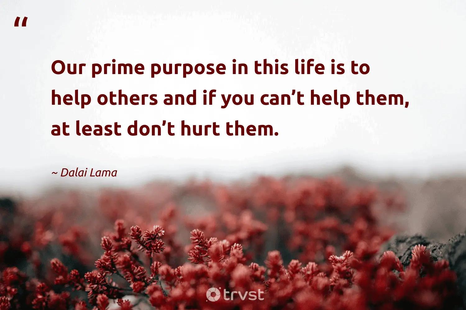 "Our prime purpose in this life is to help others and if you can’t help them, at least don’t hurt them." -Dalai Lama #trvst #quotes #thinkgreen #socialchange #homeless #life 